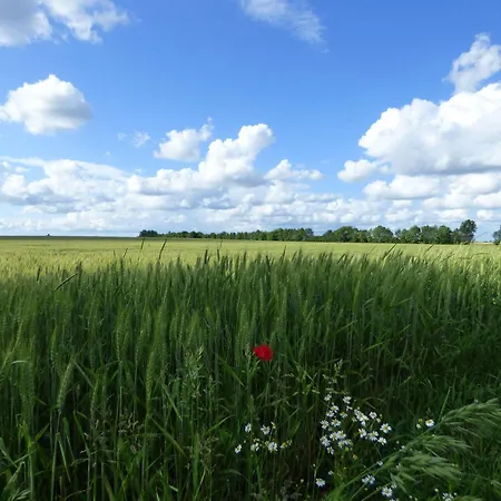 Ferienhaus-natur-erholung-pur-mecklenburgische-seenplatte-zwischen-mueritz-und-ostsee *