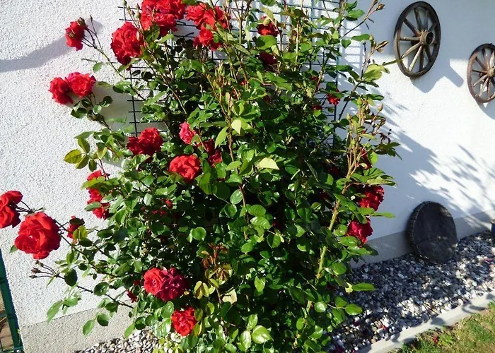 Vakantiehuis Ferienhaus-natur-erholung-pur-mecklenburgische-seenplatte-zwischen-mueritz-und-ostsee *