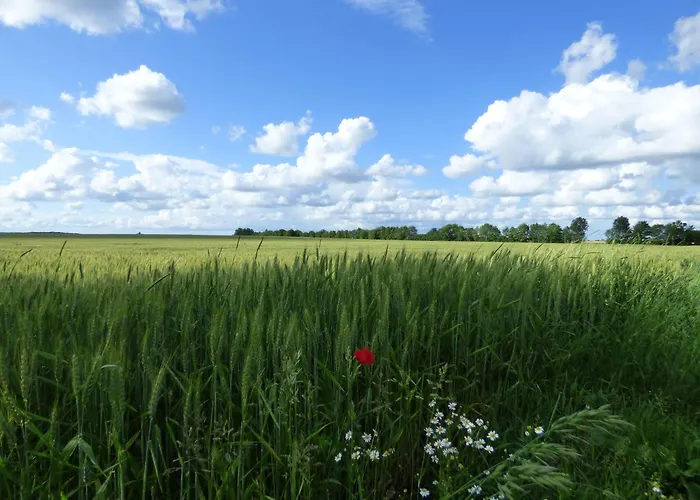 Ferienhaus-natur-erholung-pur-mecklenburgische-seenplatte-zwischen-mueritz-und-ostsee * Dargun